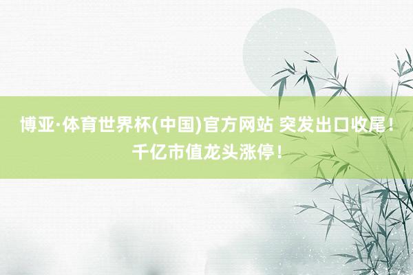 博亚·体育世界杯(中国)官方网站 突发出口收尾!千亿市值龙头涨停!