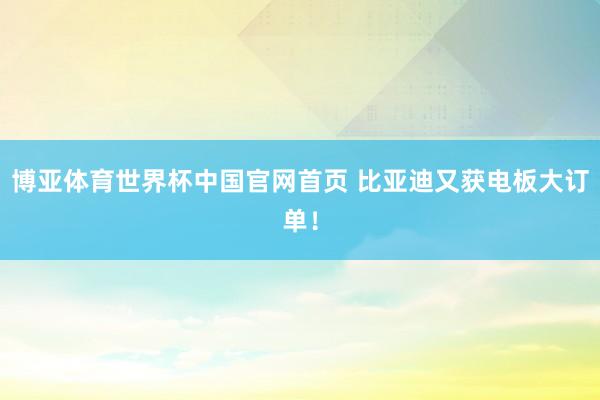 博亚体育世界杯中国官网首页 比亚迪又获电板大订单!