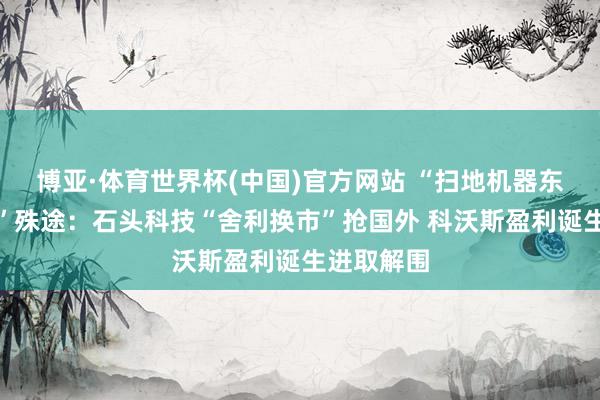 博亚·体育世界杯(中国)官方网站 “扫地机器东谈主双雄”殊途:石头科技“舍利换市”抢国外 科沃斯盈利诞生进取解围