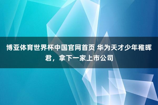 博亚体育世界杯中国官网首页 华为天才少年稚晖君,拿下一家上市公司