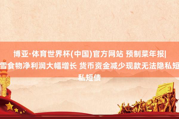 博亚·体育世界杯(中国)官方网站 预制菜年报|春雪食物净利润大幅增长 货币资金减少现款无法隐私短债