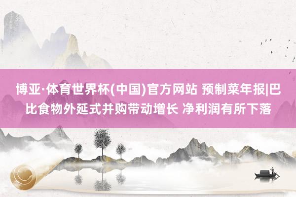 博亚·体育世界杯(中国)官方网站 预制菜年报|巴比食物外延式并购带动增长 净利润有所下落