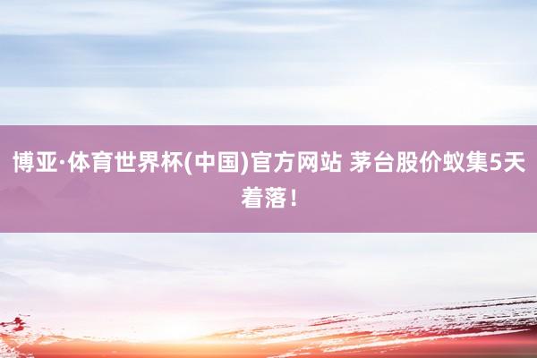 博亚·体育世界杯(中国)官方网站 茅台股价蚁集5天着落!