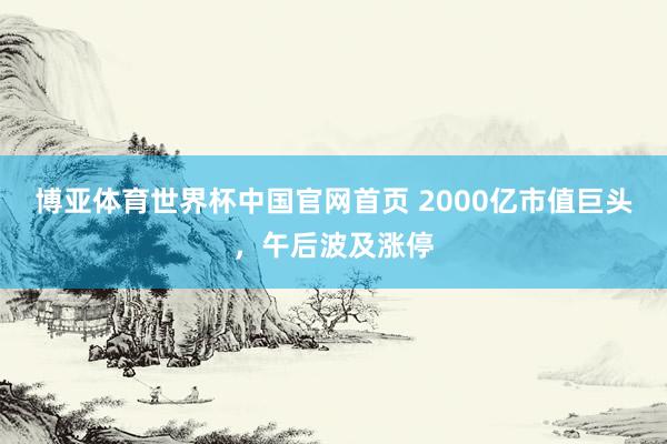 博亚体育世界杯中国官网首页 2000亿市值巨头,午后波及涨停