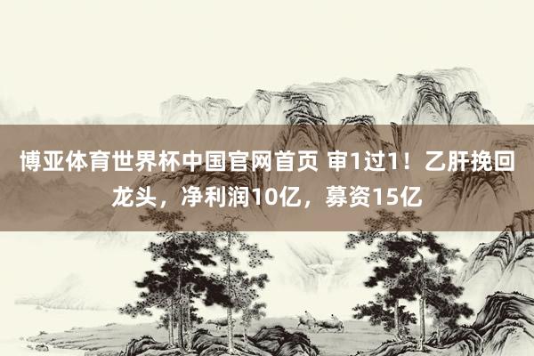 博亚体育世界杯中国官网首页 审1过1!乙肝挽回龙头,净利润10亿,募资15亿