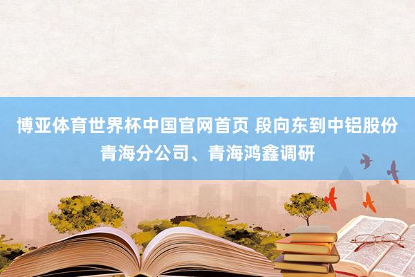 博亚体育世界杯中国官网首页 段向东到中铝股份青海分公司、青海鸿鑫调研