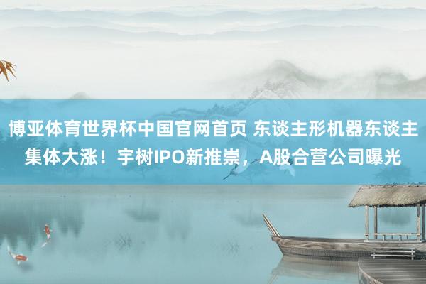 博亚体育世界杯中国官网首页 东谈主形机器东谈主集体大涨!宇树IPO新推崇,A股合营公司曝光
