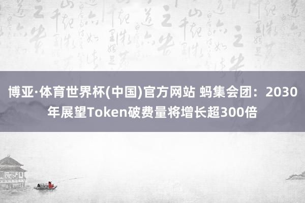 博亚·体育世界杯(中国)官方网站 蚂集会团:2030年展望Token破费量将增长超300倍