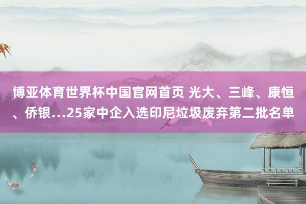 博亚体育世界杯中国官网首页 光大、三峰、康恒、侨银…25家中企入选印尼垃圾废弃第二批名单