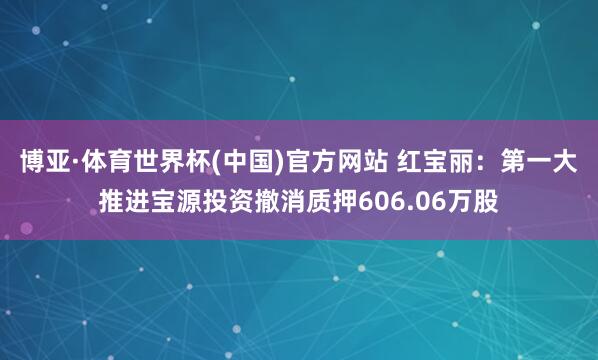 博亚·体育世界杯(中国)官方网站 红宝丽:第一大推进宝源投资撤消质押606.06万股