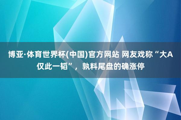 博亚·体育世界杯(中国)官方网站 网友戏称“大A仅此一韬”,孰料尾盘的确涨停