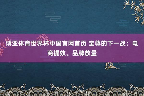 博亚体育世界杯中国官网首页 宝尊的下一战:电商提效、品牌放量