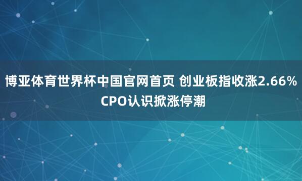 博亚体育世界杯中国官网首页 创业板指收涨2.66% CPO认识掀涨停潮