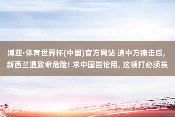 博亚·体育世界杯(中国)官方网站 遭中方痛击后, 新西兰遇致命危险! 求中国岂论用, 这顿打必须挨