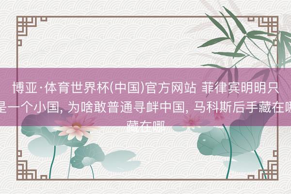 博亚·体育世界杯(中国)官方网站 菲律宾明明只是一个小国, 为啥敢普通寻衅中国, 马科斯后手藏在哪