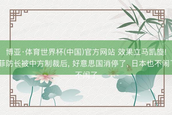 博亚·体育世界杯(中国)官方网站 效果立马凯旋! 菲防长被中方制裁后, 好意思国消停了, 日本也不闹了