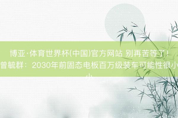 博亚·体育世界杯(中国)官方网站 别再苦等了!曾毓群:2030年前固态电板百万级装车可能性很小