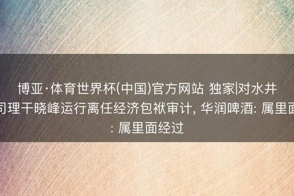 博亚·体育世界杯(中国)官方网站 独家|对水井坊总司理干晓峰运行离任经济包袱审计, 华润啤酒: 属里面经过